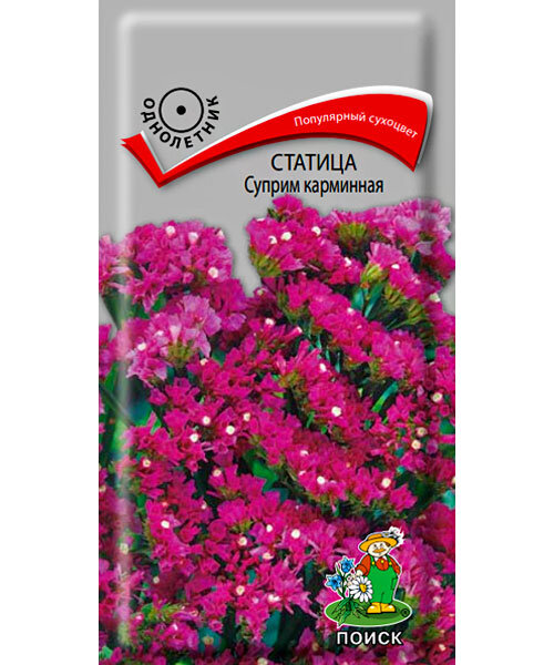 Статица Суприм Карминная семена