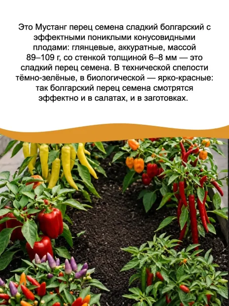 Перец сладкий Мустанг семена 