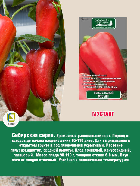 Перец сладкий Мустанг семена 