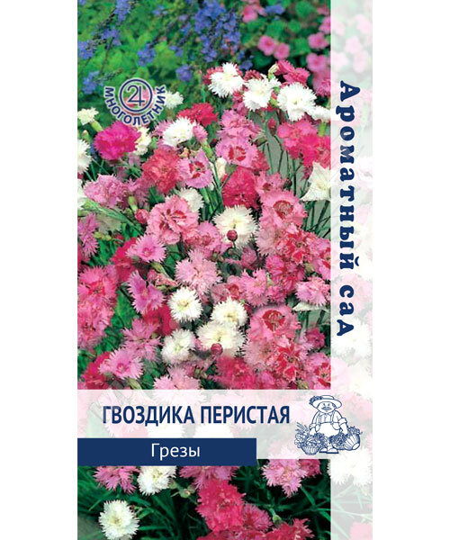 Гвоздика перистая Грёзы семена
