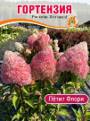 Гортензия Петит Флори (метельчатая)