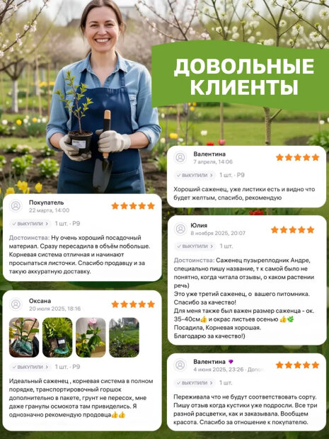 Ирис Магнетизм (сибирский)