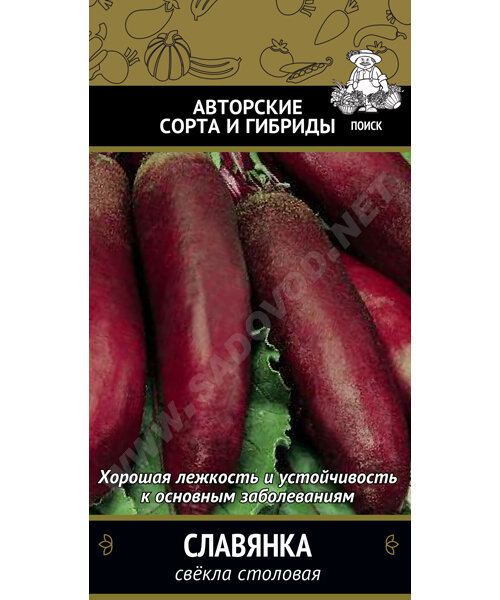 Свекла Славянка  семена 