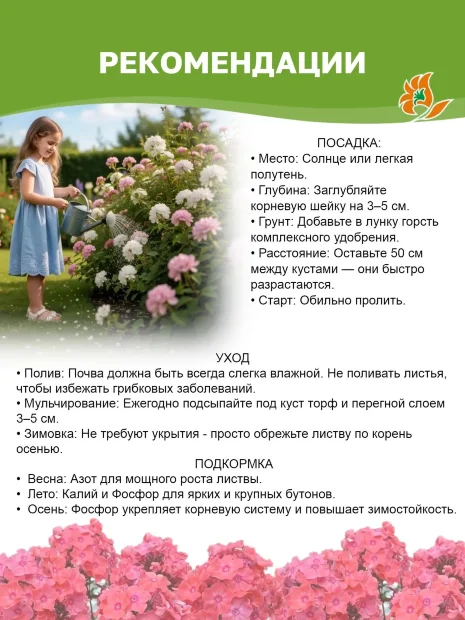 Флокс Ихтиандр
