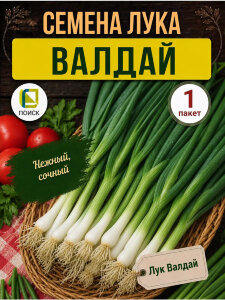 Лук батун Валдай