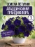 Петуния грандифлора Аладдин Синяя (ПРОФИ) семена