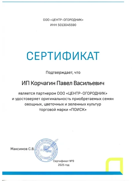 Петуния грандифлора Аладдин Синяя (ПРОФИ) семена