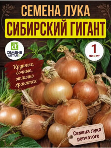 Лук репчатый Сибирский Гигант